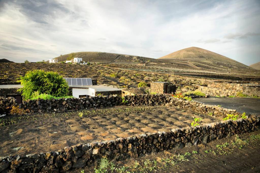 Los Frailes Eco Finca A Тінахо Екстер'єр фото